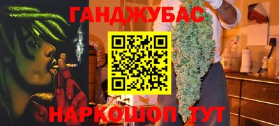 сатива Гатчина