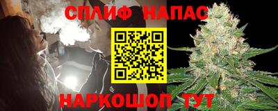 сатива Гатчина