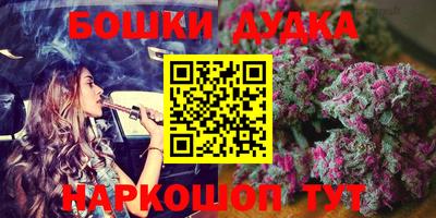 сатива Гатчина
